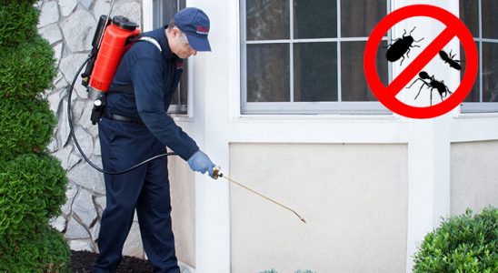 Yenice Kene İlaçlama böcek ilaçlama ve haşere kontrolü — ilaclama-tr.com